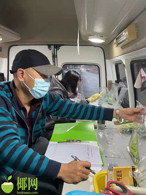 春節(jié)期間,海口檢查各類市場主體1800余家次